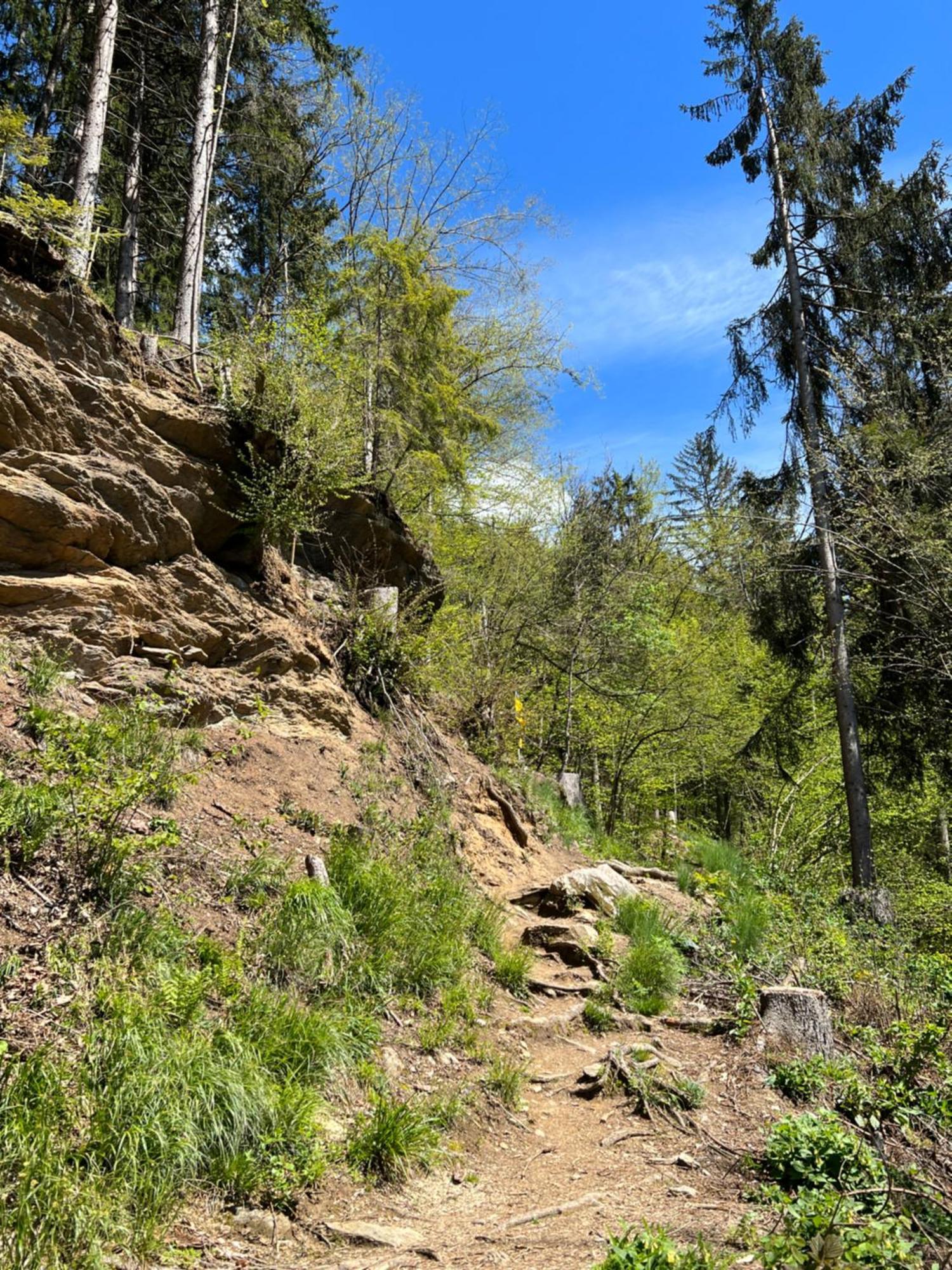 Ferienwohnung Mit Seeblick - Ossiacher See Gerlitzen Sattendorf Kültér fotó